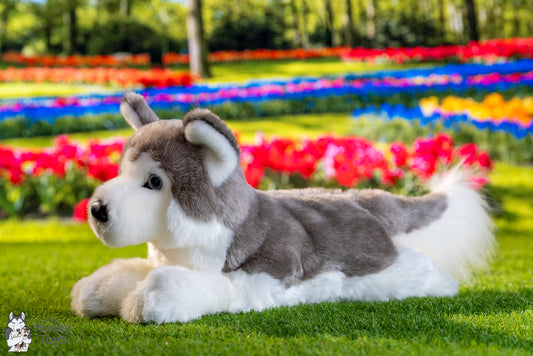 Douglas Cuddle Toys Geno DLux Husky