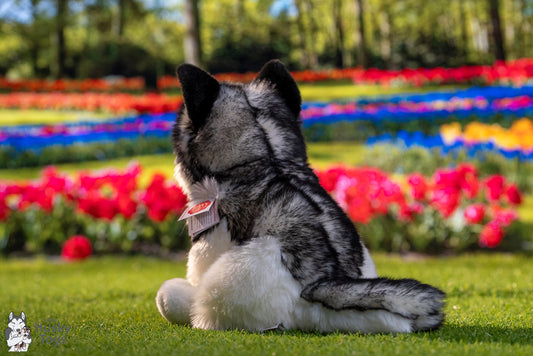 Teddy Hermann Sitting Husky 30cm