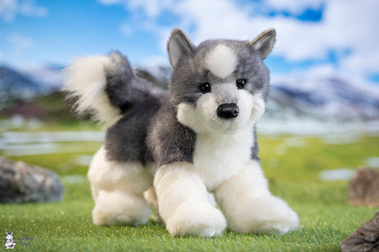 Douglas Cuddle Toys Sasha Husky