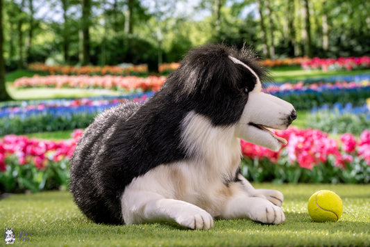 Hansa Creation Laying Border Collie