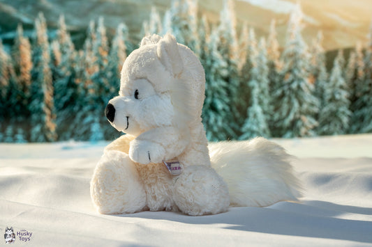 Nici Polar Fox Vanja