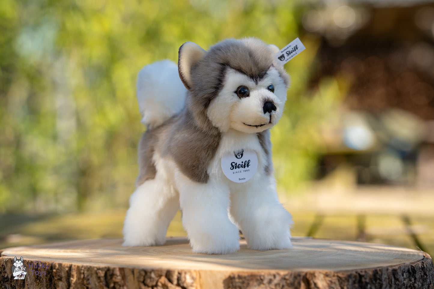 Steiff Bernie husky 17 cm