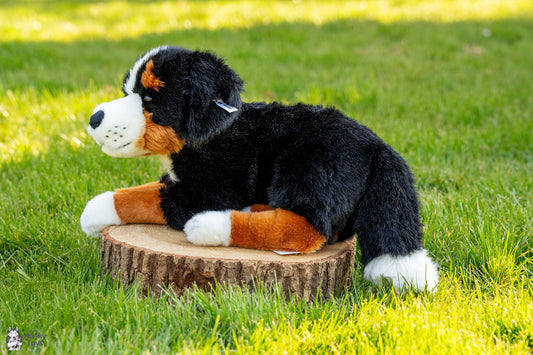 Steiff Senni Bernese Mountain Dog
