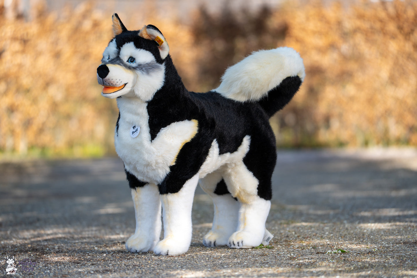 Steiff Studio husky
