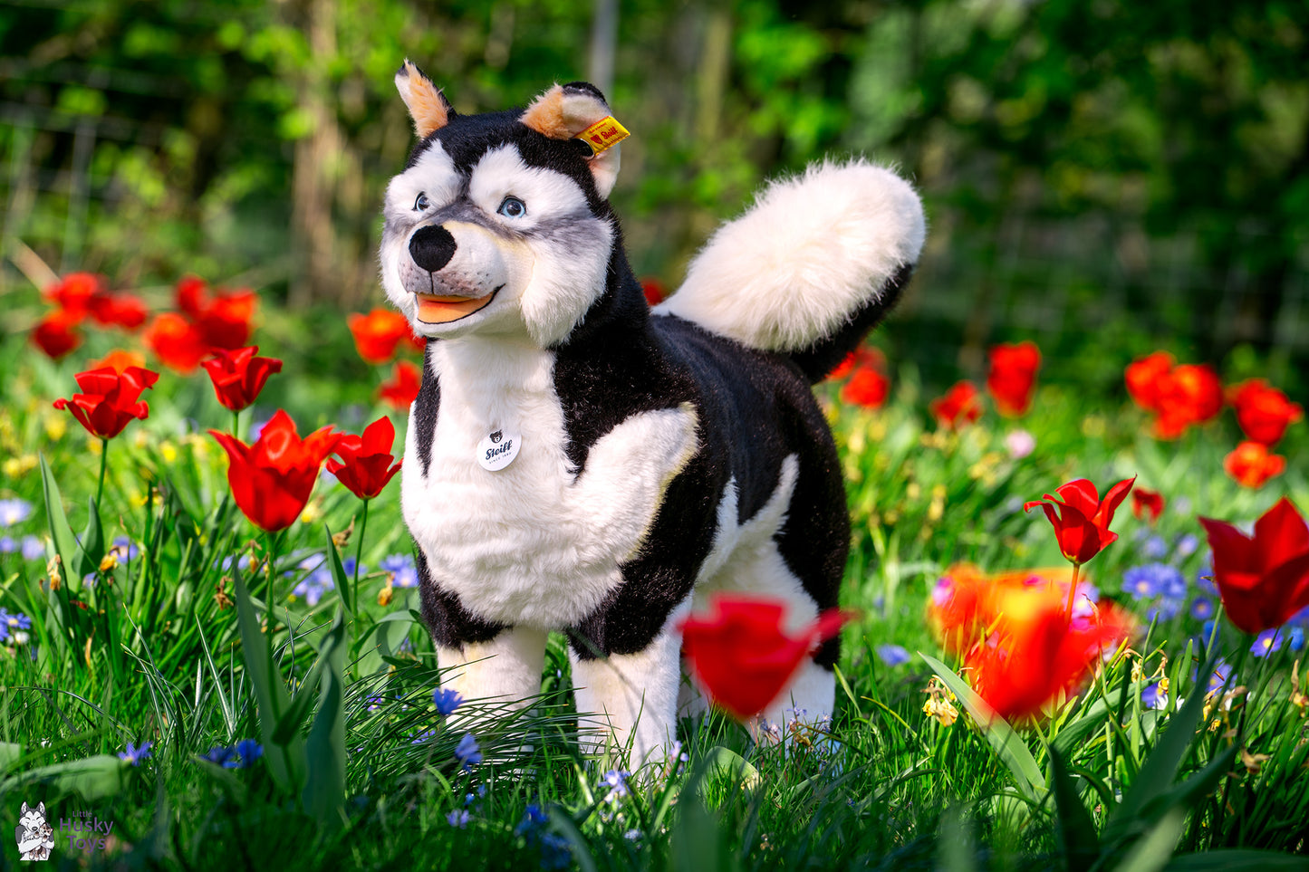 Steiff Studio husky