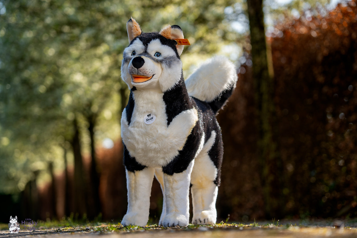 Steiff Studio husky