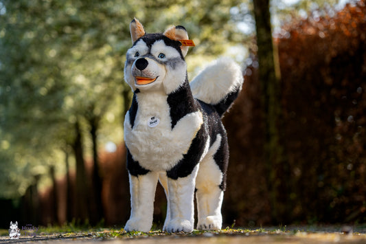 Steiff Studio husky
