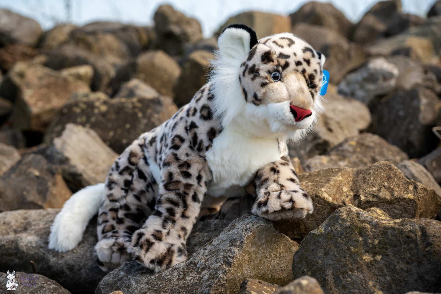 Semo Jumbo Snow Leopard
