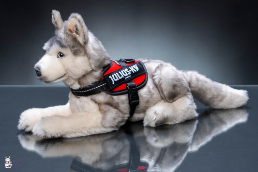 Julius-K9 IDC® Powerharness - 2XS / Baby 2