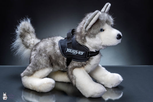 Julius-K9 IDC® Powerharness - S / Mini