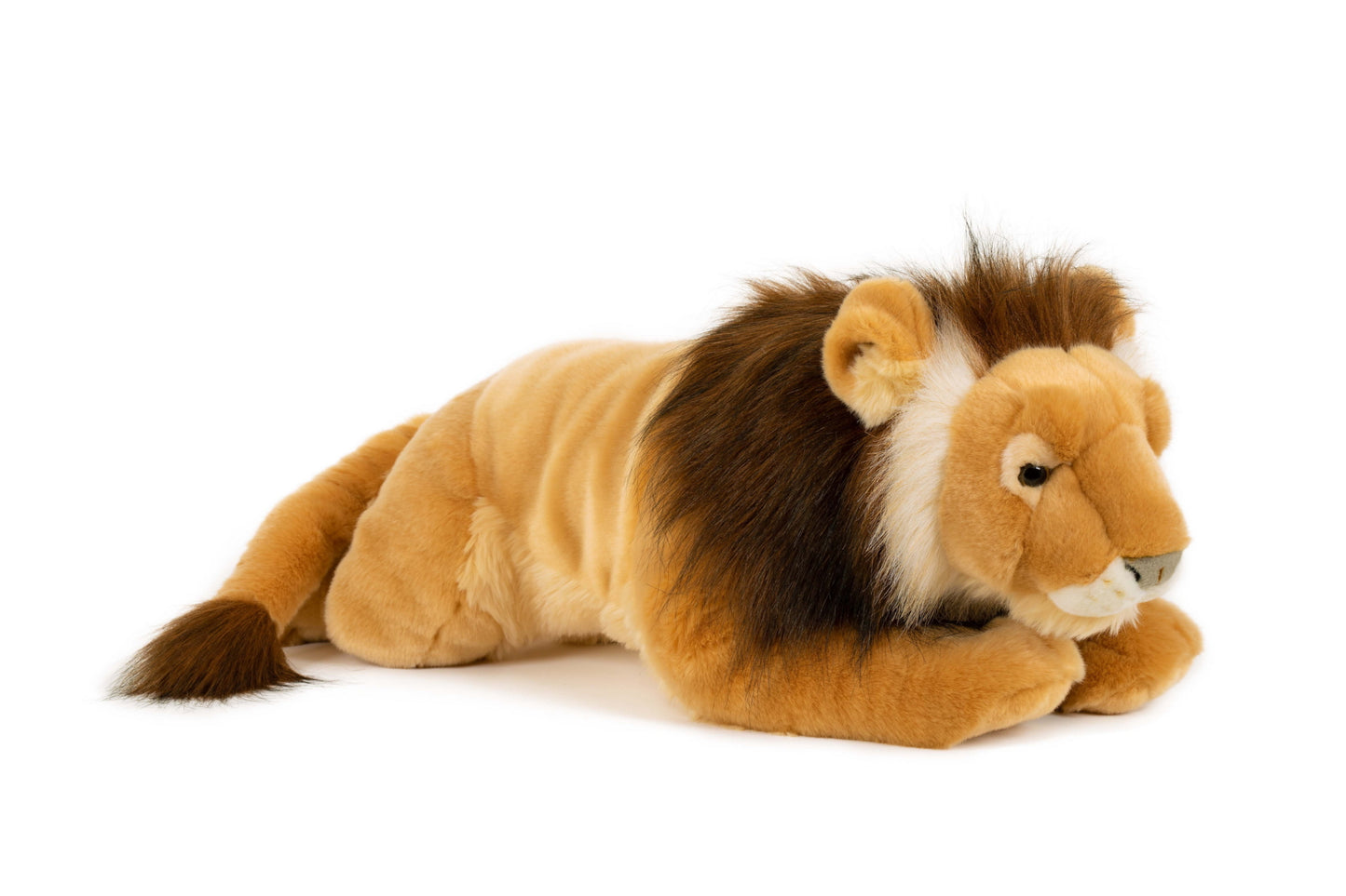 Semo Jumbo Lion