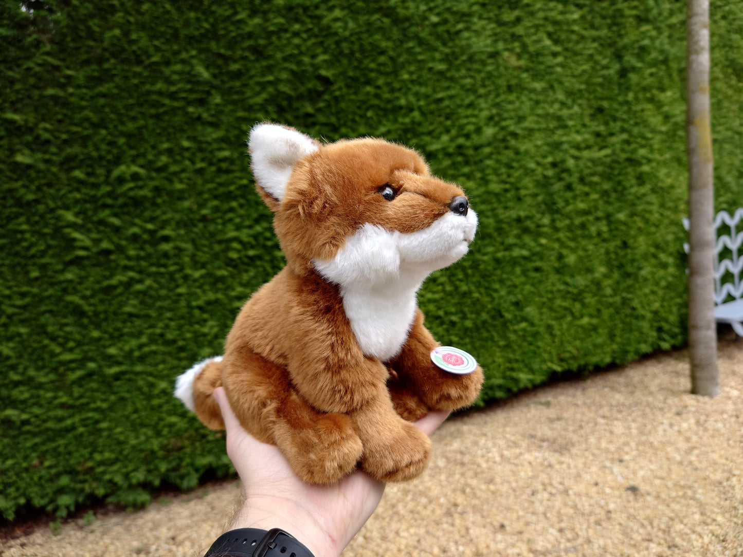 Teddy Hermann Sitting Fox