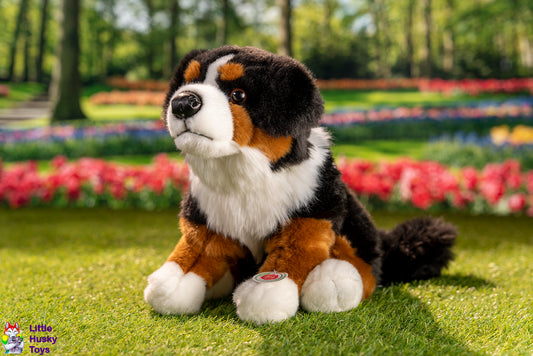 Teddy Hermann Sitting Bernese Mountain Dog
