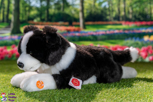 Teddy Hermann Lying Border Collie