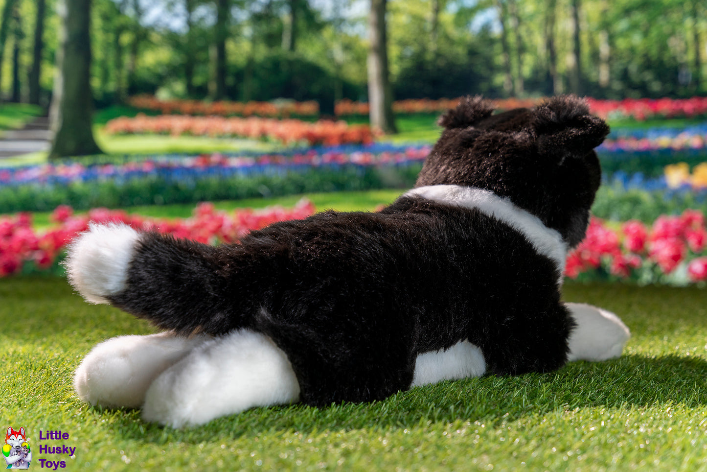 Teddy Hermann Lying Border Collie