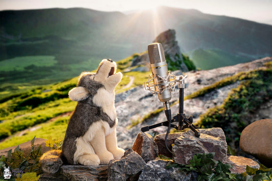 US Tariffs and Import Duties