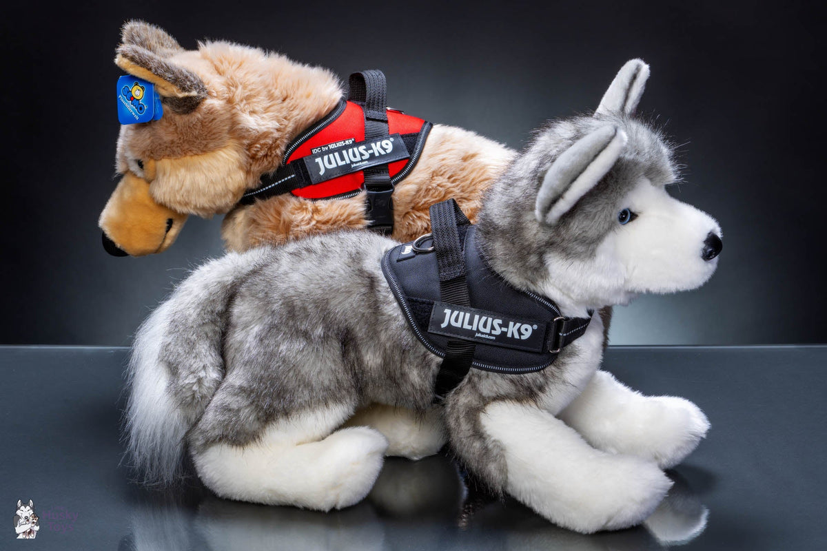 Julius-K9 IDC® Belt Harness XS / Mini-Mini