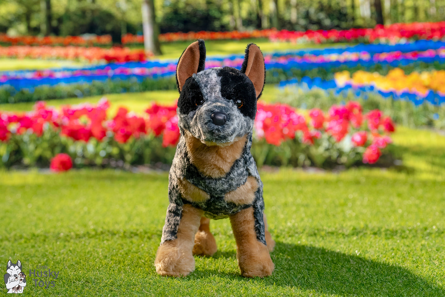 Douglas Cuddle Toys Bolt Australian Cattle Dog
