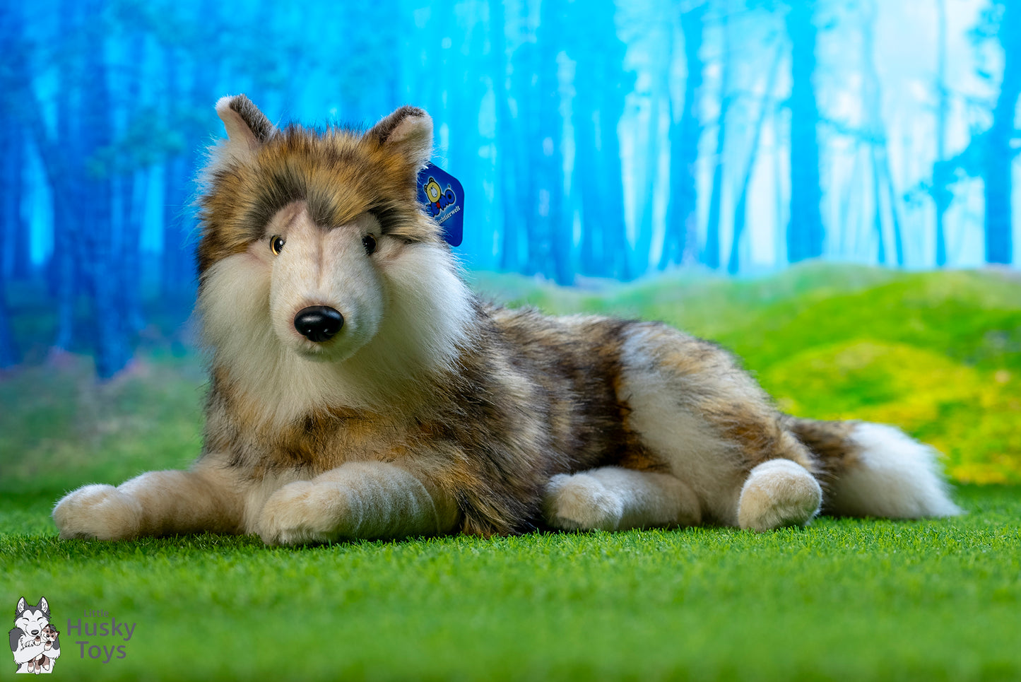 Semo lying Wolf