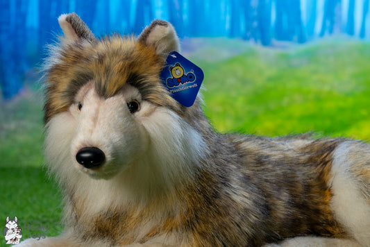 Semo lying Wolf