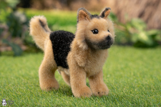 Kösen German Shepherd Puppy