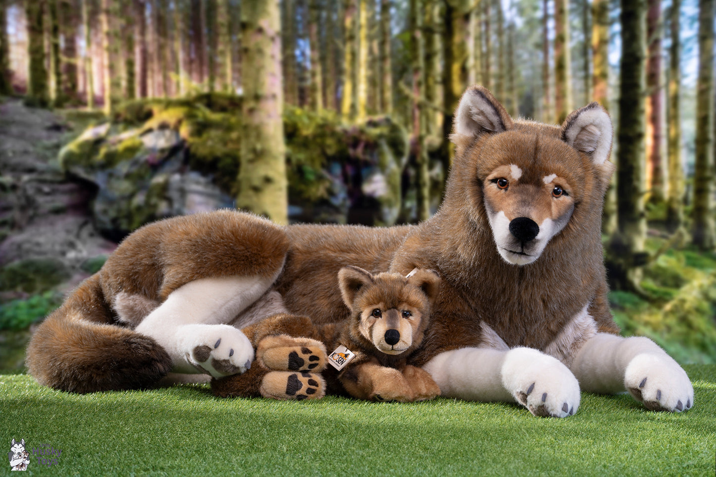 Kösen Lying Wolf - Studio