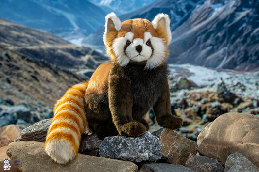 Hansa Creation Red Panda 75 cm