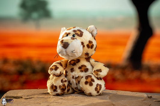 Nici Leopard