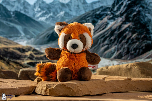 Nici Red Panda
