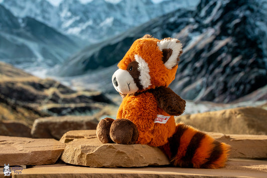 Nici Red Panda
