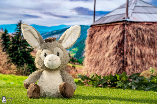 Nici Donkey Donkeylee