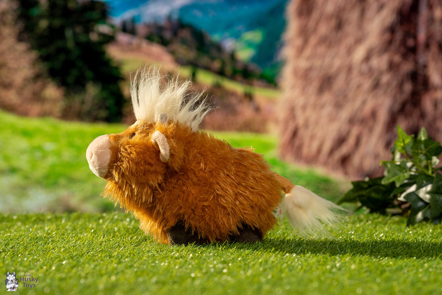 Nici Highland Cattle McMooray