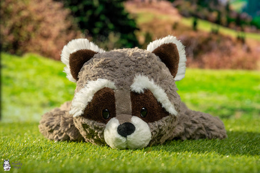 Nici Laying Raccoon Lenno