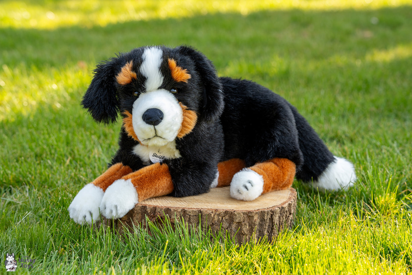 Steiff Senni Bernese Mountain Dog