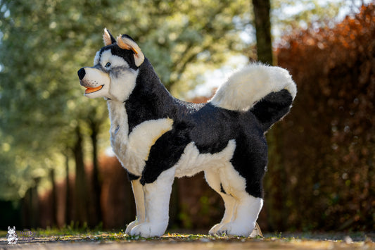 Steiff Studio husky
