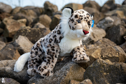 Semo Jumbo Snow Leopard