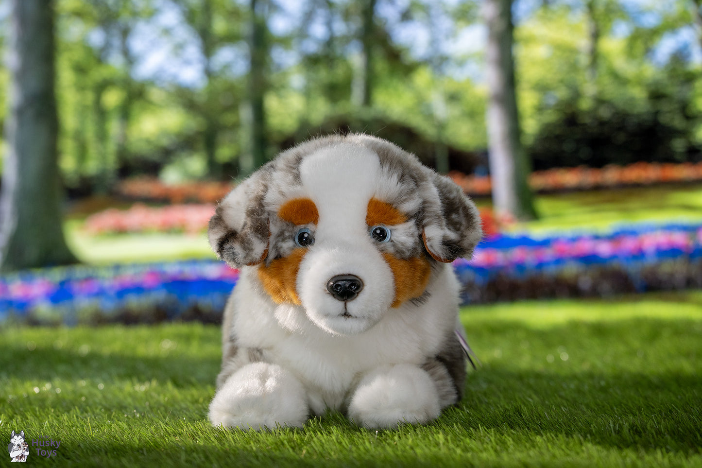 Teddy Hermann Australian Shepherd lying 40 cm