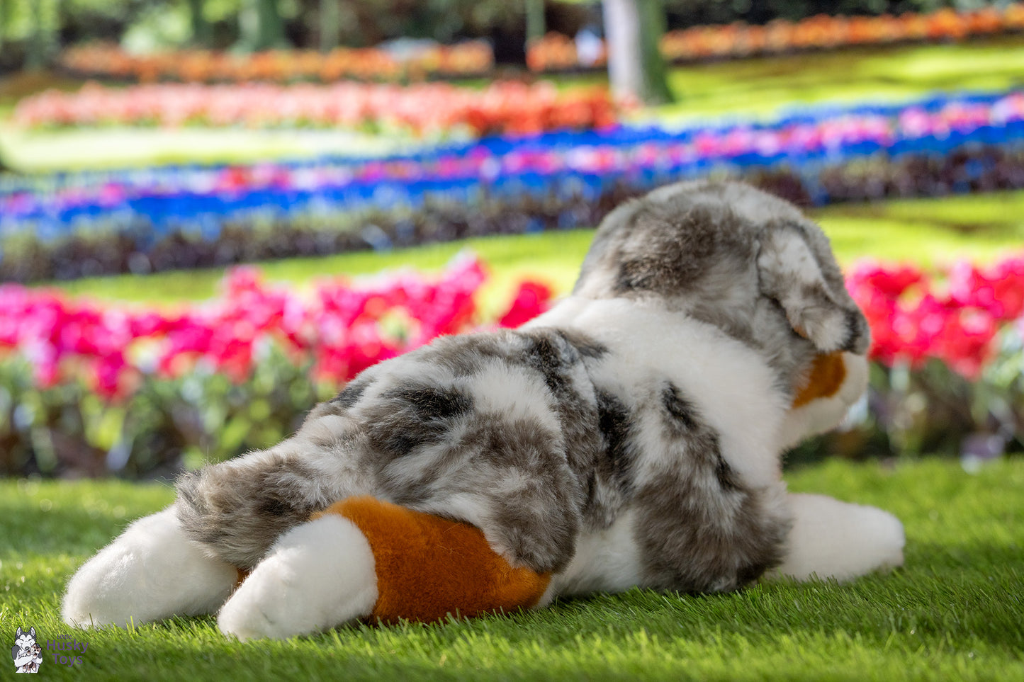 Teddy Hermann Australian Shepherd lying 40 cm