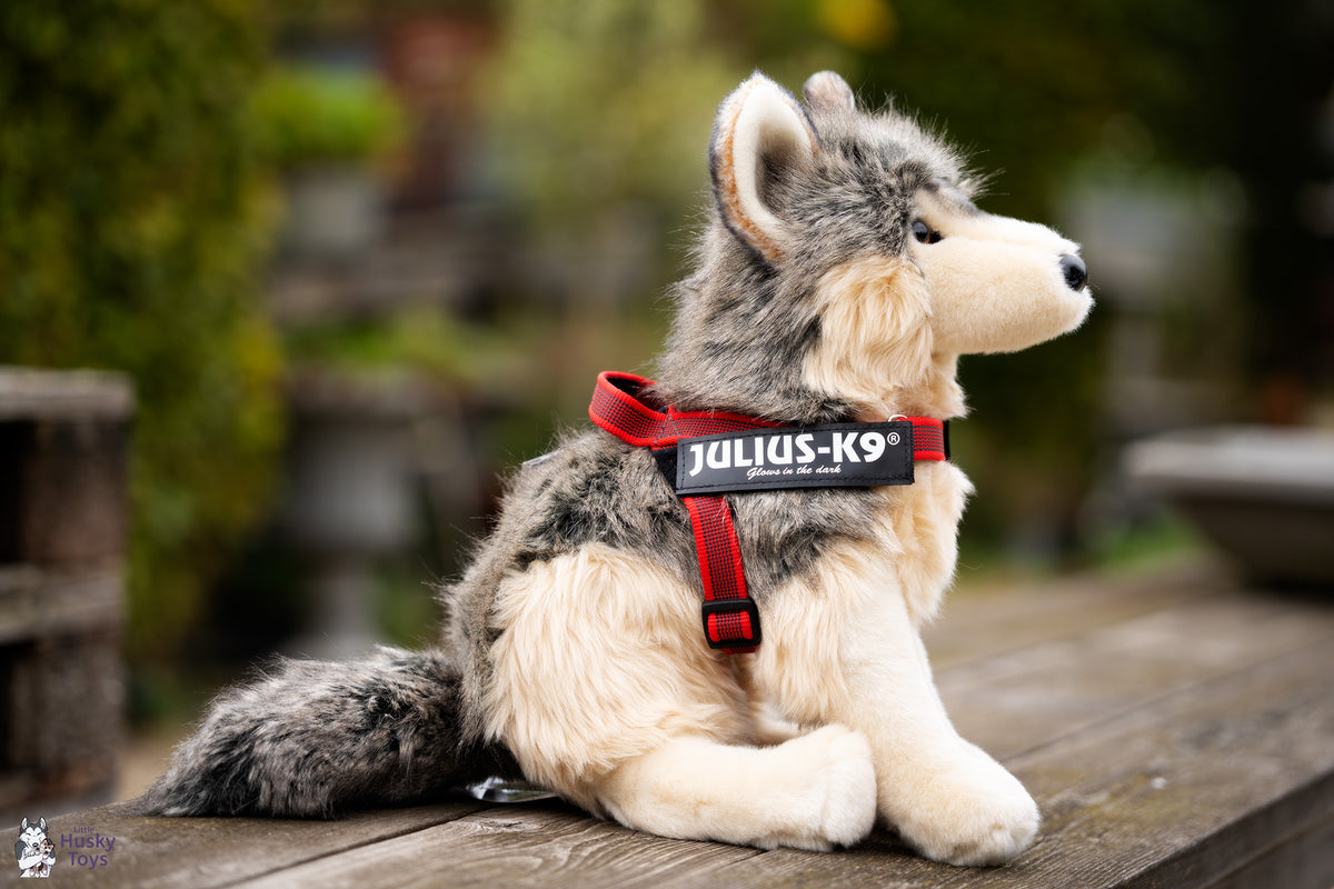 Julius-K9 IDC® Belt Harness XS / Mini-Mini