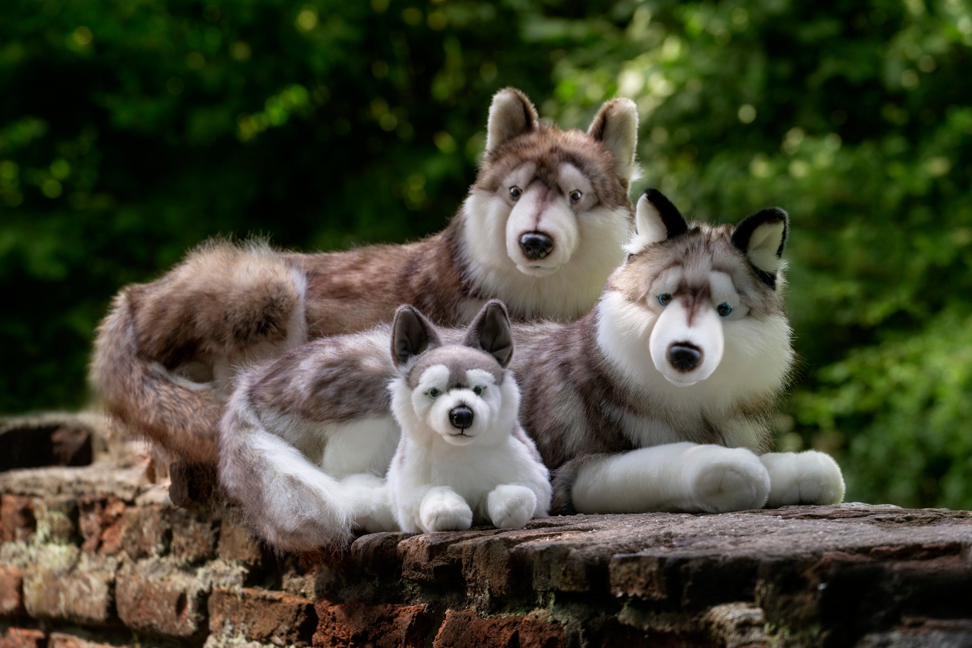 Uni-Toys Kuscheltier Husky, liegend - 100 cm (Länge) - Plüsch-Hund - Plüschtier, zu 100 % recyceltes Füllmaterial, Stofftier Uni-Toys Kuscheltier Husky, liegend - 100 cm (Länge) - Plüsch-Hund - Plüschtier, zu 100 % recyceltes Füllmaterial, Stofftier