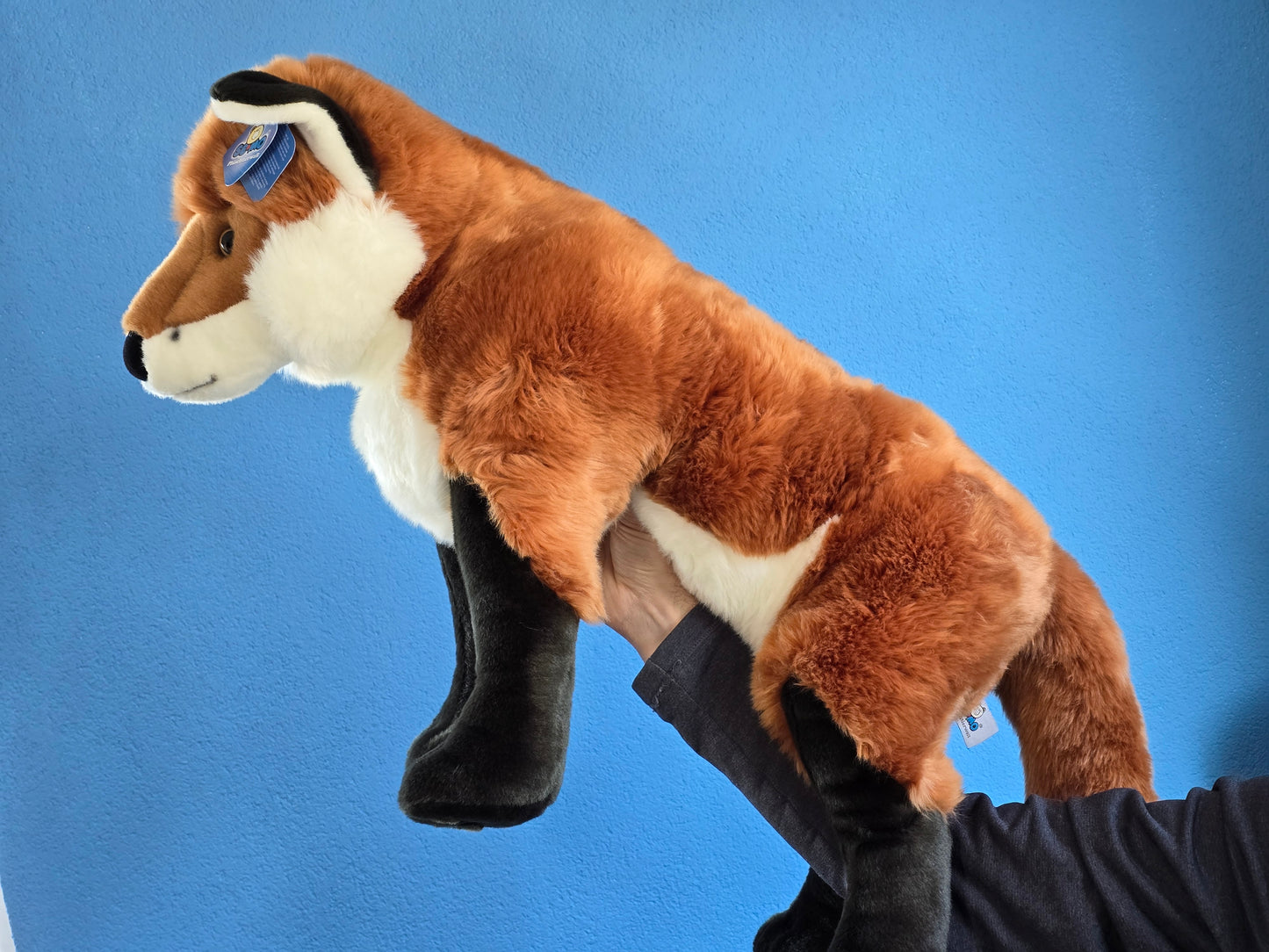 Semo Jumbo Fox
