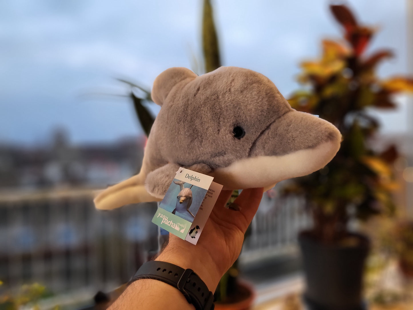 Teddy Hermann Dolphin