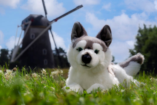 Uni-Toys Husky