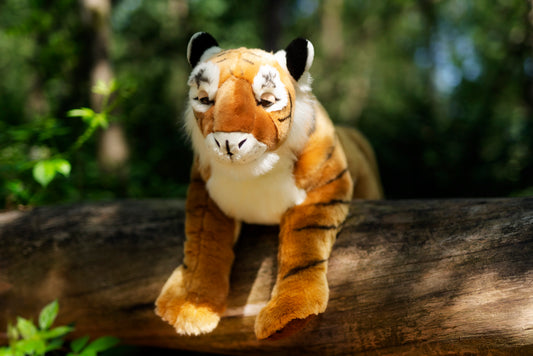 Semo Jumbo Tiger