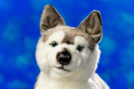 Uni-Toys Husky