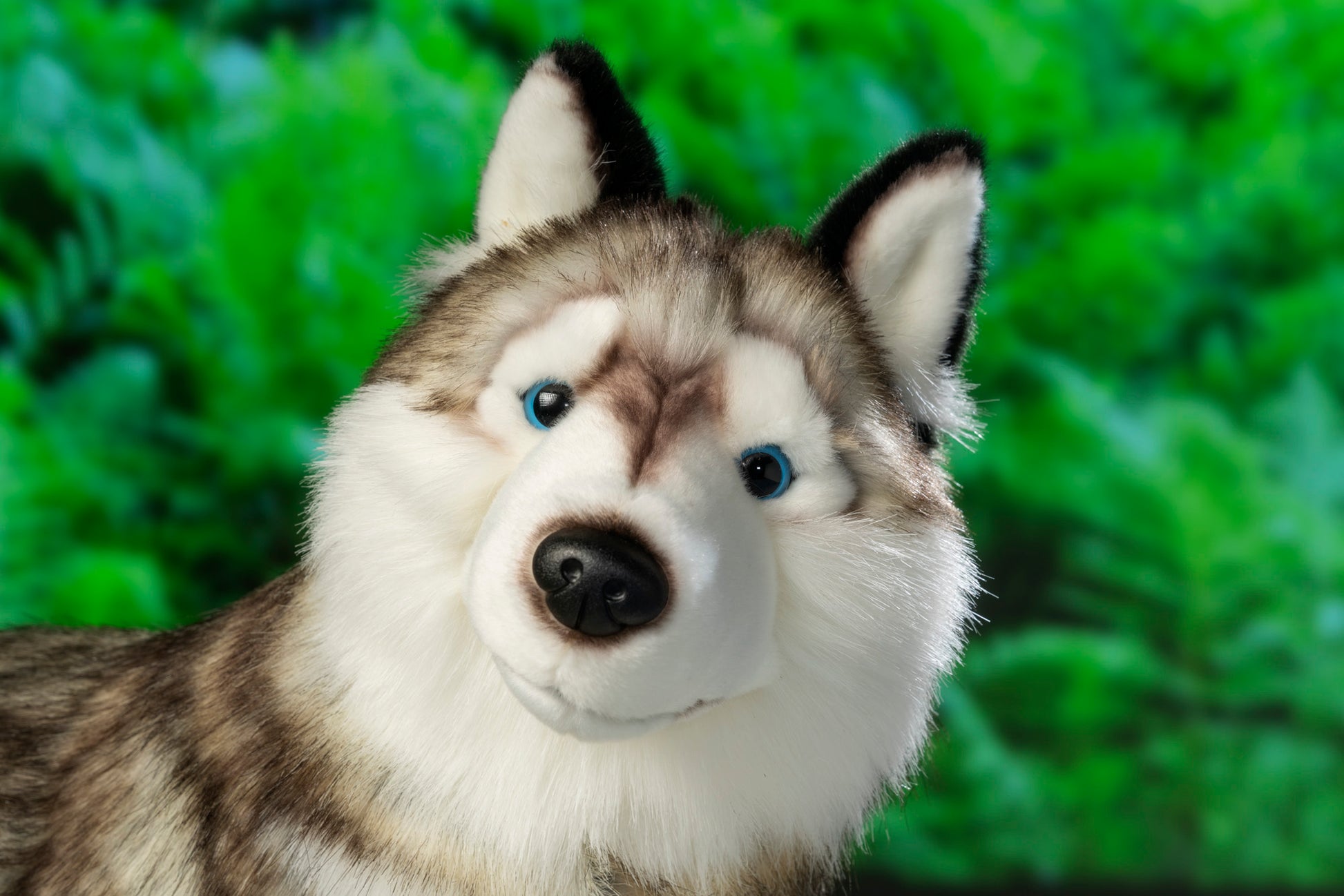 Uni-Toys Jumbo Husky – Little Husky Toys