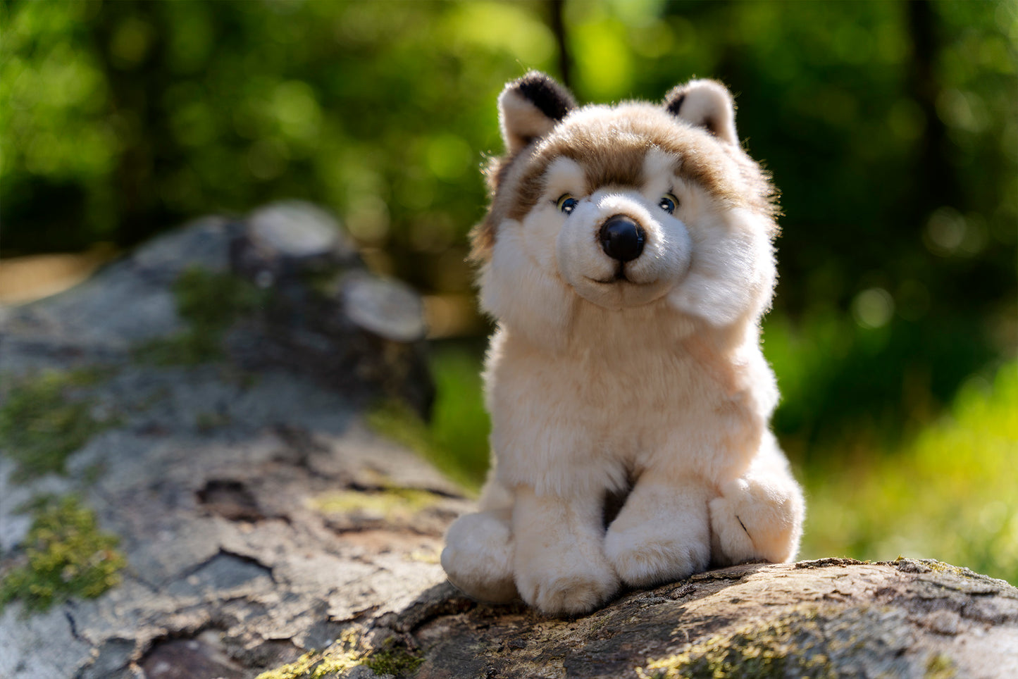Teddy Hermann Sitting Wolf