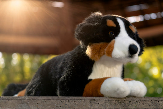Teddy Hermann Bernese Mountain Dog Lying 60cm