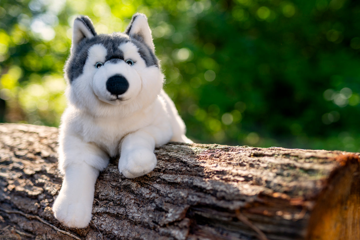 Hermann Teddy Husky Lying 60cm