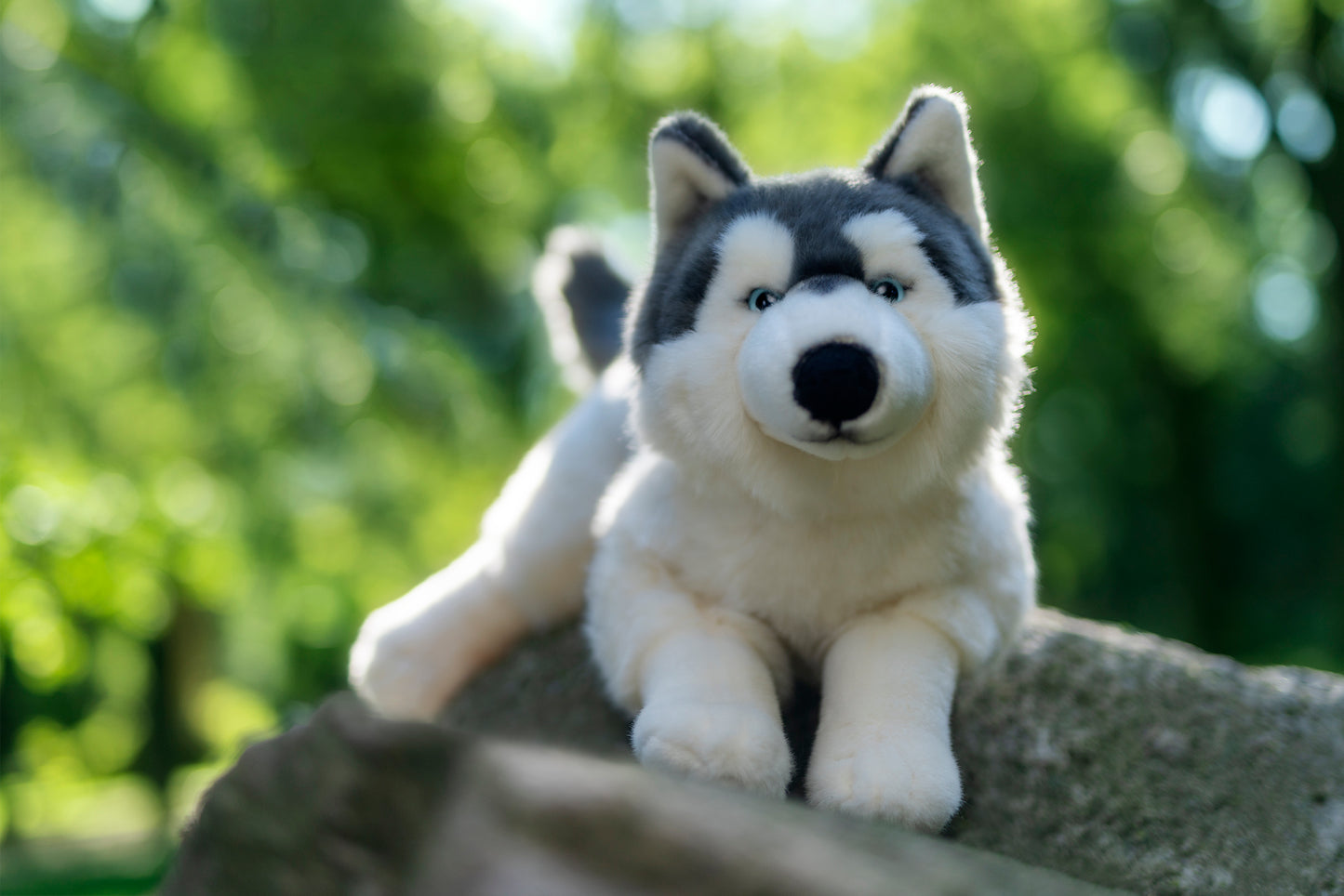 Hermann Teddy Husky Lying 60cm